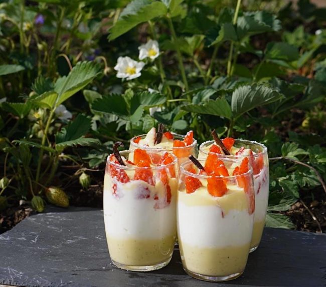 Verrines Fraises Melba par Oceane PAULO